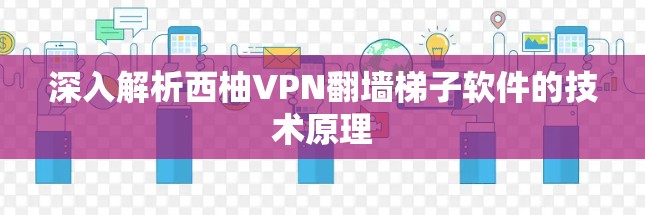 深入解析西柚VPN翻墙梯子软件的技术原理