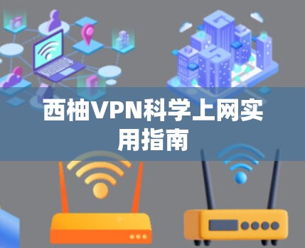 西柚VPN科学上网实用指南