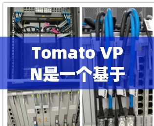 Tomato VPN是一个基于OpenVPN的VPN工具，适合进行科学上网。以下是使用Tomato VPN进行科学上网的详细步骤