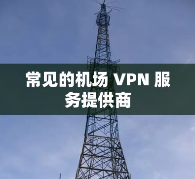常见的机场 VPN 服务提供商