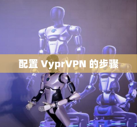 配置 VyprVPN 的步骤
