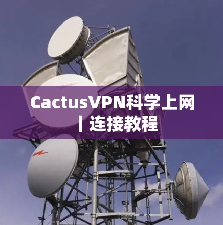 CactusVPN科学上网|连接教程