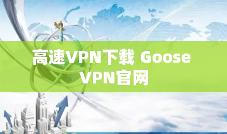 高速VPN下载 Goose VPN官网