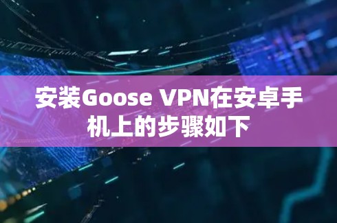 安装Goose VPN在安卓手机上的步骤如下