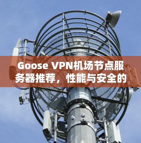 Goose VPN机场节点服务器推荐,性能与安全的平衡