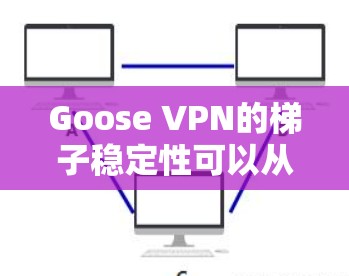 Goose VPN的梯子稳定性可以从以下几个方面进行分析