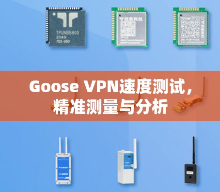 Goose VPN速度测试，精准测量与分析