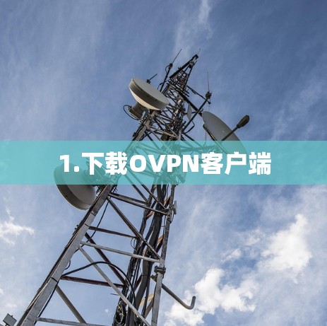 1.下载OVPN客户端