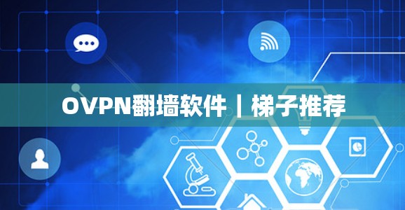 OVPN翻墙软件|梯子推荐