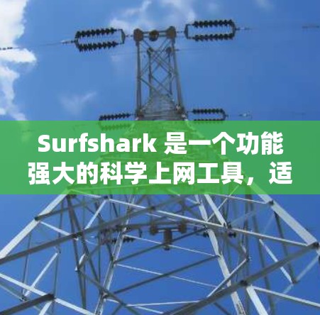 Surfshark 是一个功能强大的科学上网工具,适用于化学、生物、物理和数学领域。以下是对其详细分析