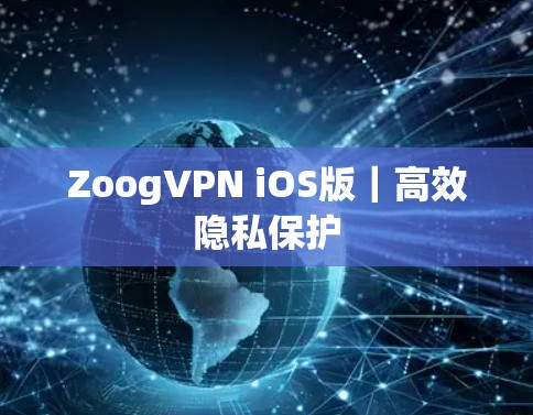 ZoogVPN iOS版｜高效隐私保护